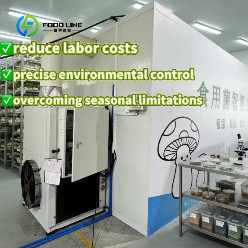 Agriculture Farming New Technology - Tarımsal Mantar Üretim Çiftliği ve Ticari