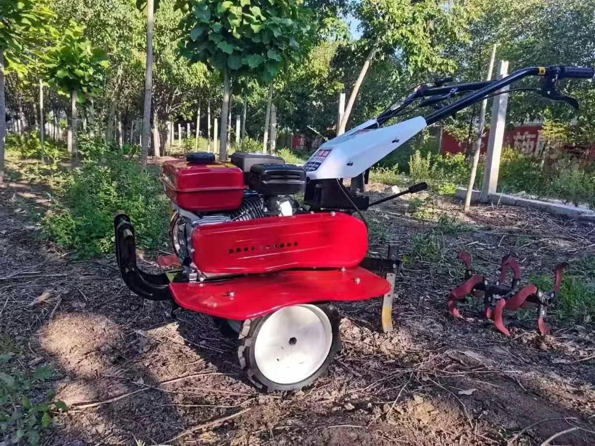 Organic Farming Of Agriculture - Sıcak Fırsat En İyi Çapa Makinesi