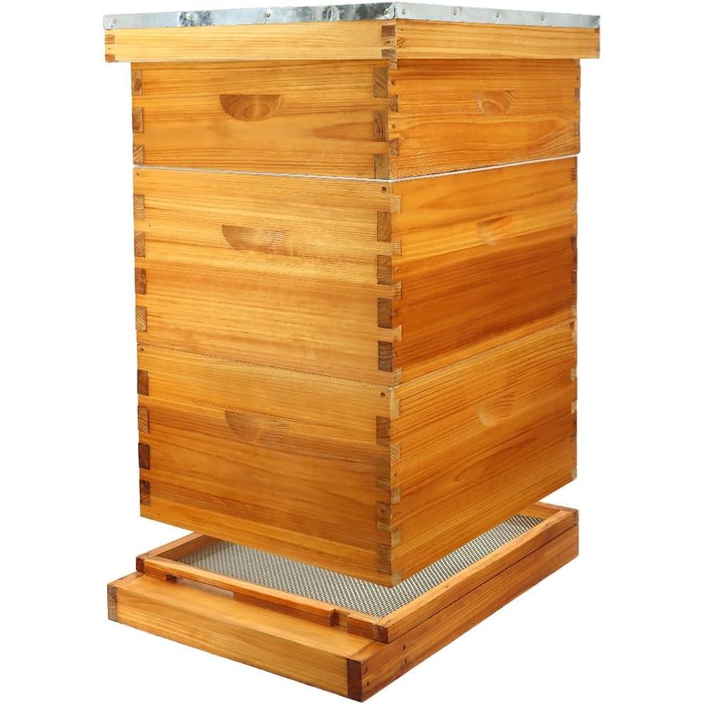 Beehive Frame Wax - 10 Çerçeveli Balmumu Kaplı Alt Tabaklı