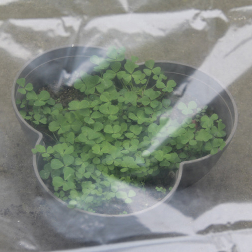 Şeffaf Sera Sebze Serası Tarım - Greenhouse Plastic Film incelemesi ve fiyatı