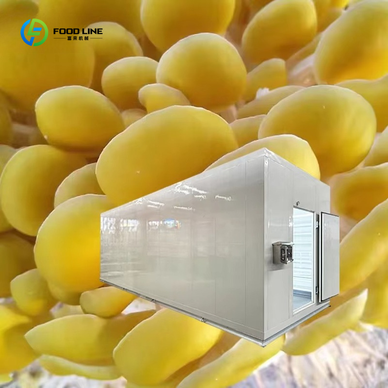 Akıllı Mantar Yetiştirme Kapsü - Agriculture Farming New Technology incelemesi ve fiyatı