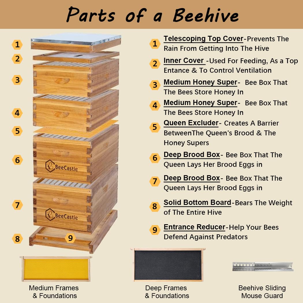 10 Çerçeveli Langstroth Arı Ko - Beehive Frame Wax incelemesi ve fiyatı