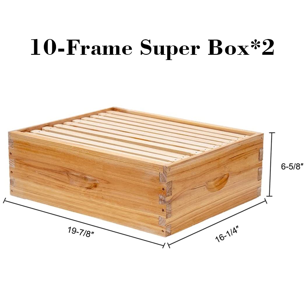 10 Çerçeveli Langstroth Arı Ko - Beehive Frame Wax incelemesi ve fiyatı