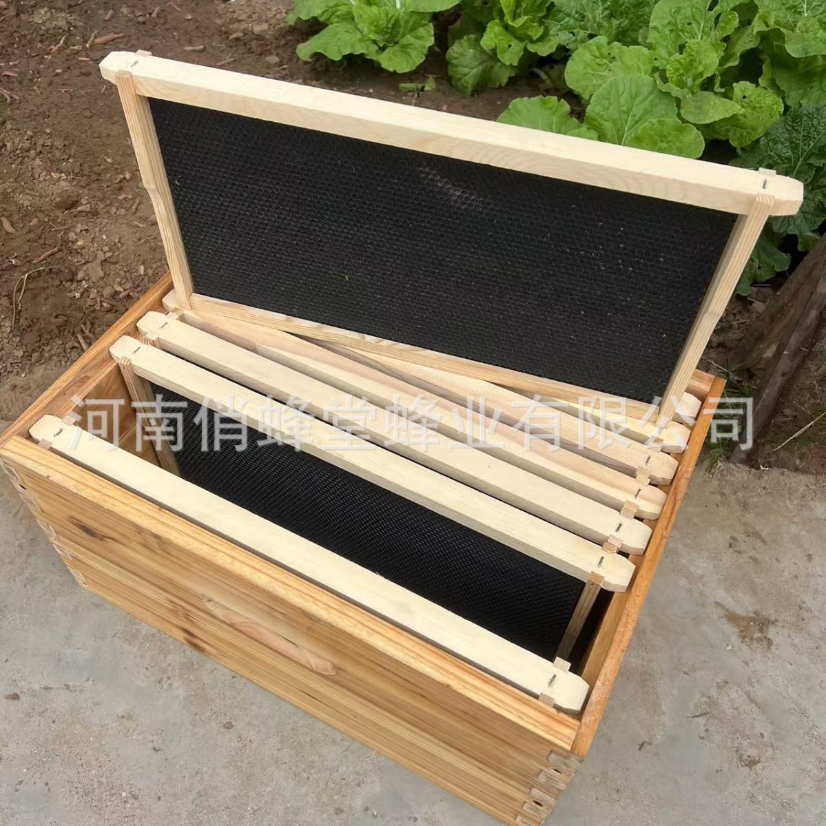 Arıcılık Aletleri Birinci Sını - Beehive Frame Wax incelemesi ve fiyatı