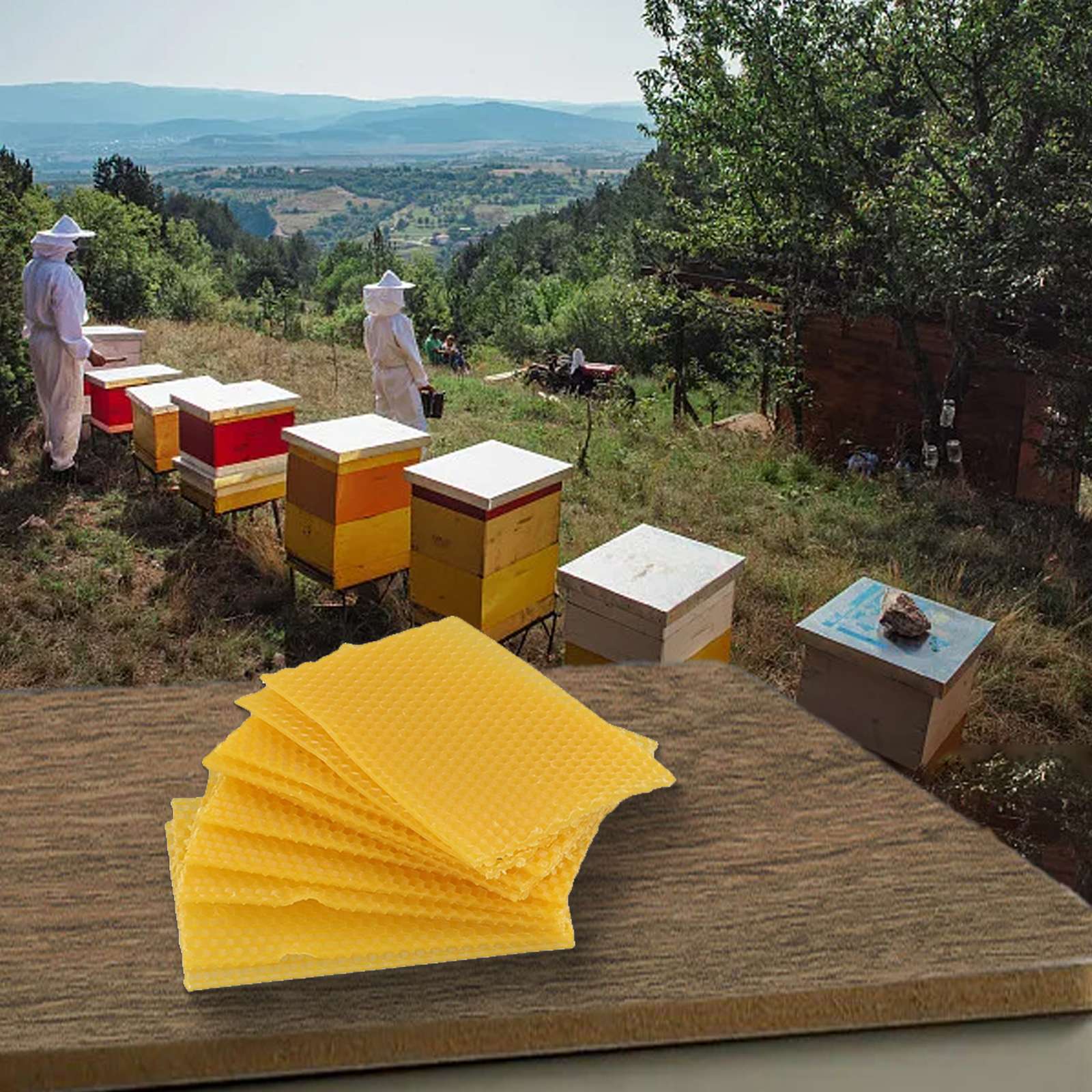 Arı Kovanı Balmumu Çerçeveleri - Beehive Frame Wax incelemesi ve fiyatı