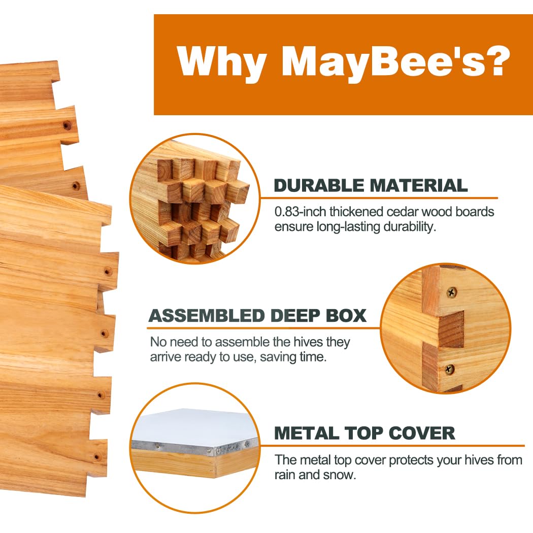 Arı Kovanı Başlangıç Seti 8 Çe - Beehive Frame Wax incelemesi ve fiyatı