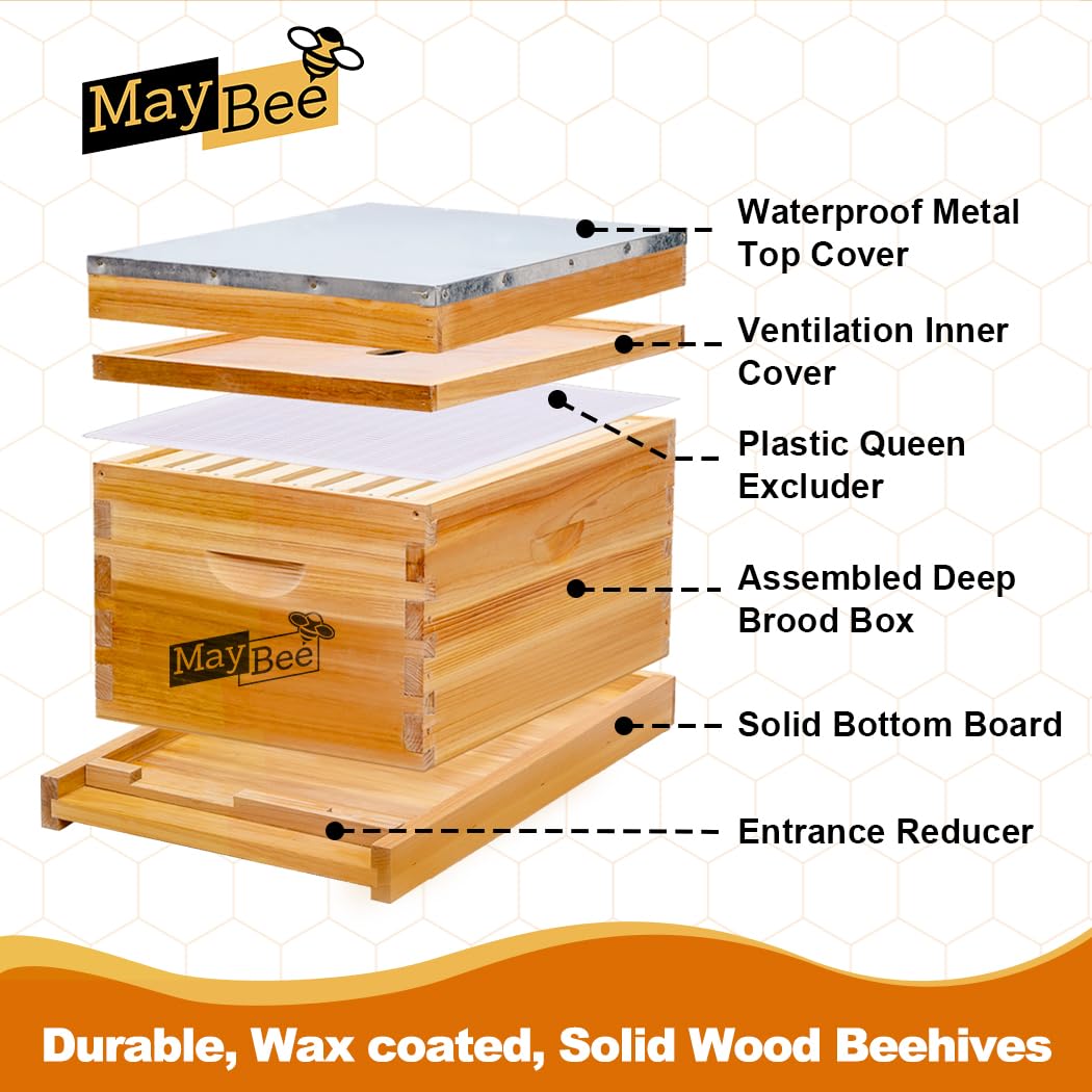 Arı Kovanı Başlangıç Seti 8 Çe - Beehive Frame Wax incelemesi ve fiyatı