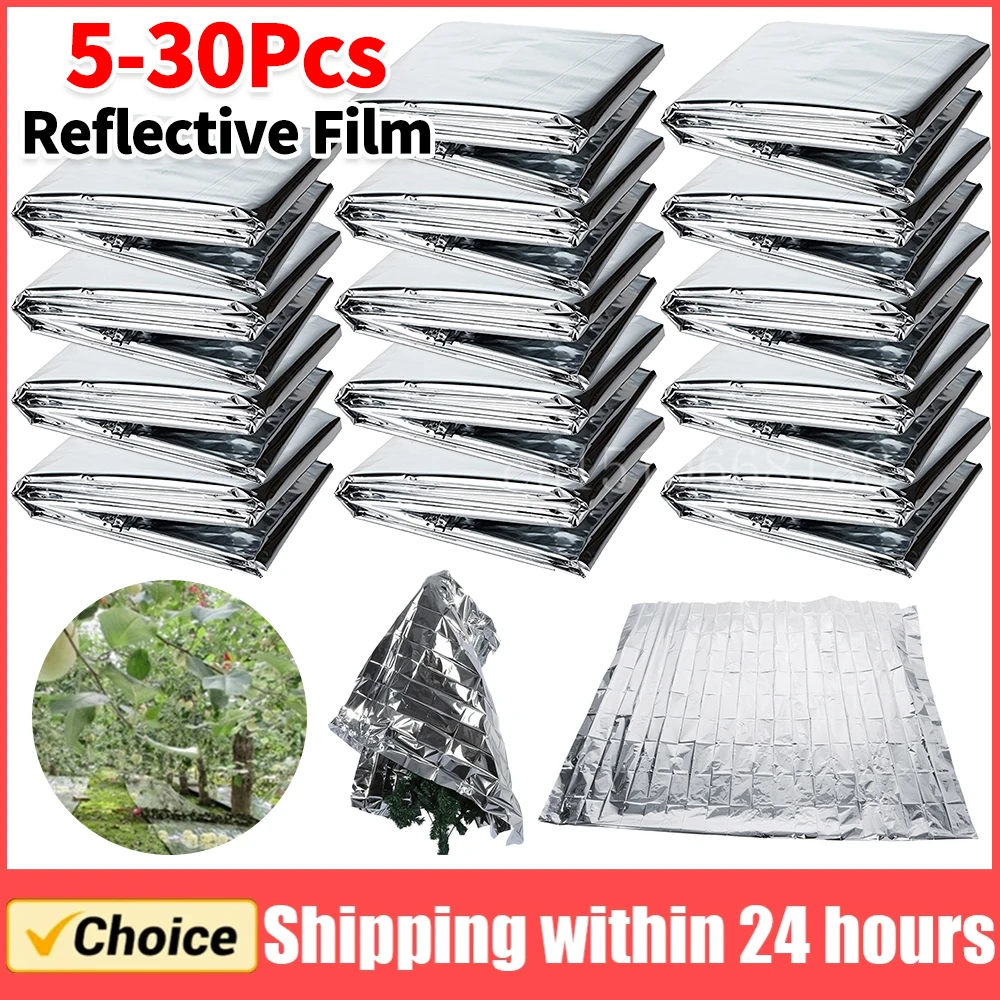 5-30 adet bahçe duvarı Mylar f - Greenhouse Plastic Film incelemesi ve fiyatı