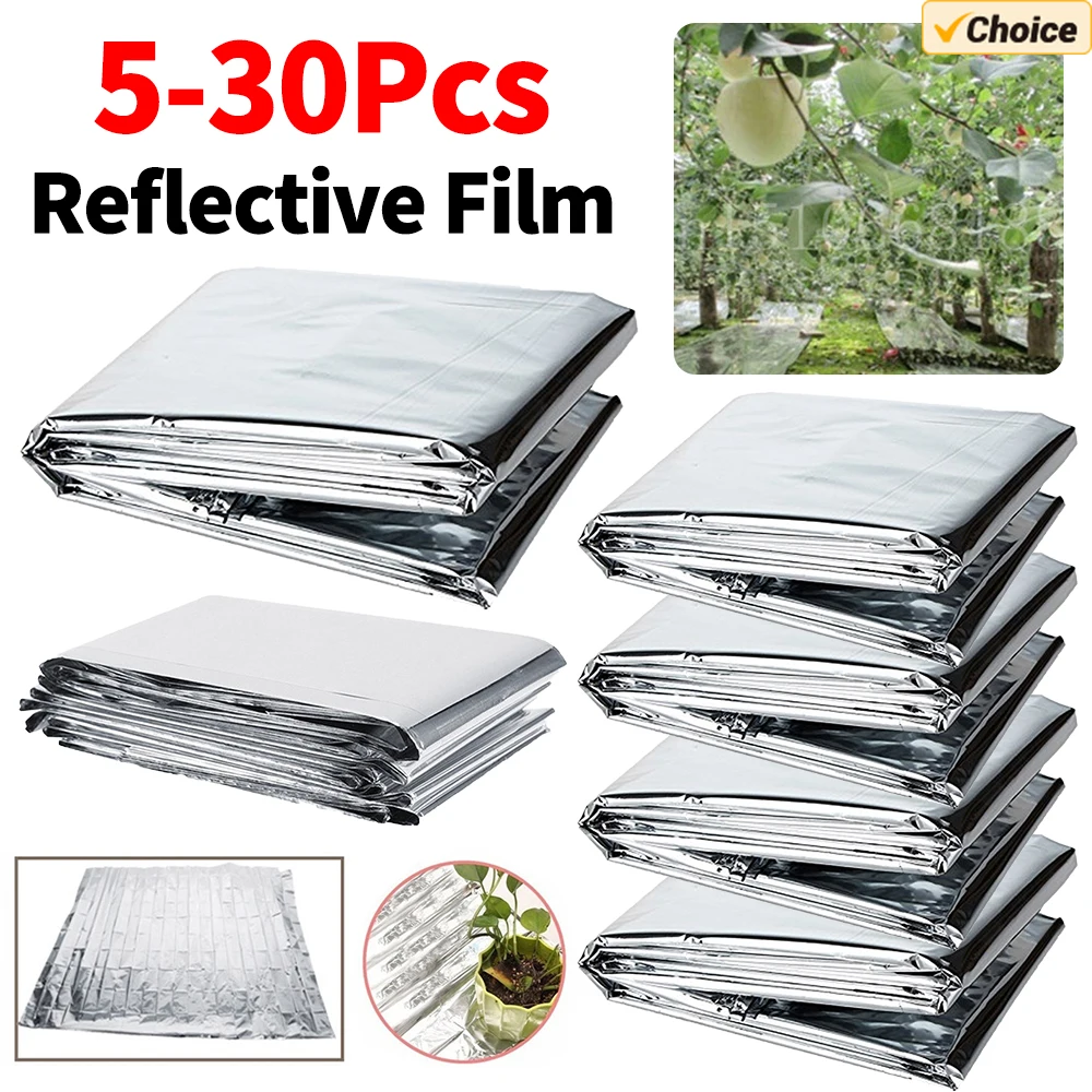 5-30 adet bahçe duvarı Mylar f - Greenhouse Plastic Film incelemesi ve fiyatı