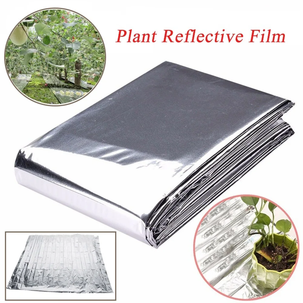 5-30 adet bahçe duvarı Mylar f - Greenhouse Plastic Film incelemesi ve fiyatı
